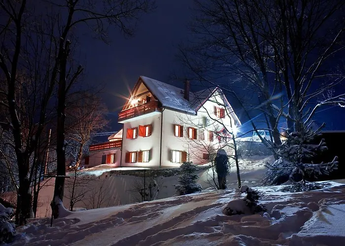 Pensjonat Rudy Stronie Śląskie